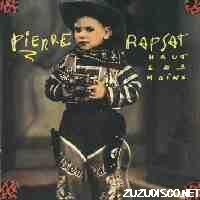 0014Rapsat33t.jpg (4254 octets)