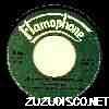 flamo1vert.jpg (4520 octets)